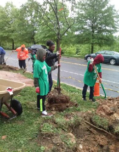 Earth Squad members work on planting trees.  Carolyn Lambright-Davis