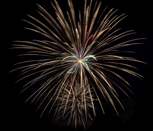 Fireworks at the Lake. Photo by Eric Zhang