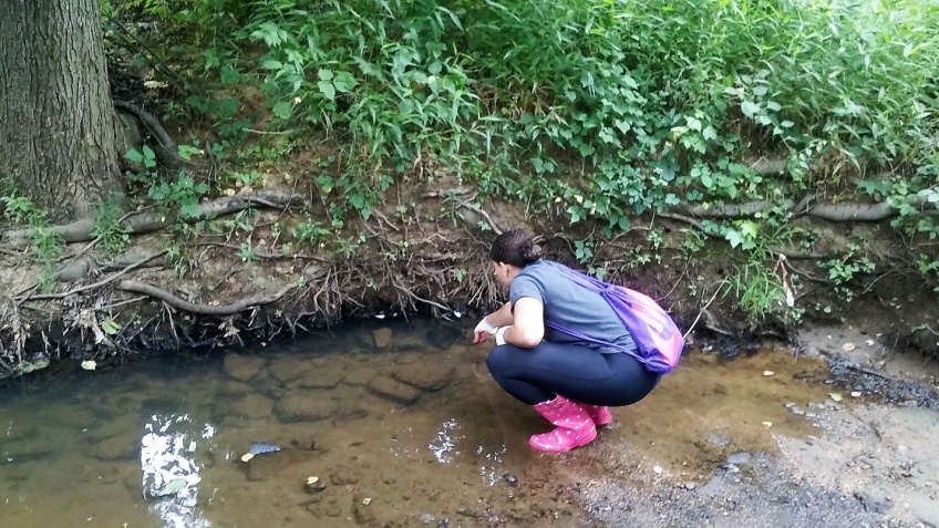 Water Quality Test Finds Indian Creek is Healthy