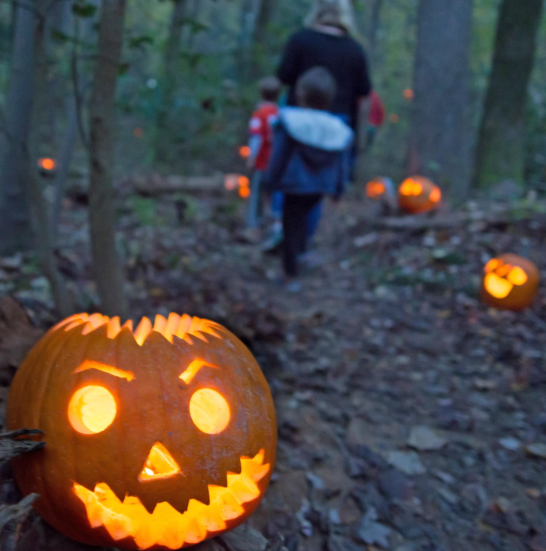 Pumpkin Walk