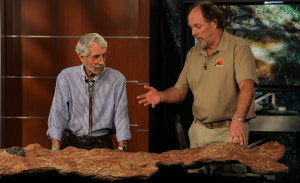Ray Stanford and Martin Lockley