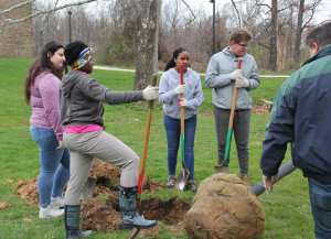 Arbor Day
