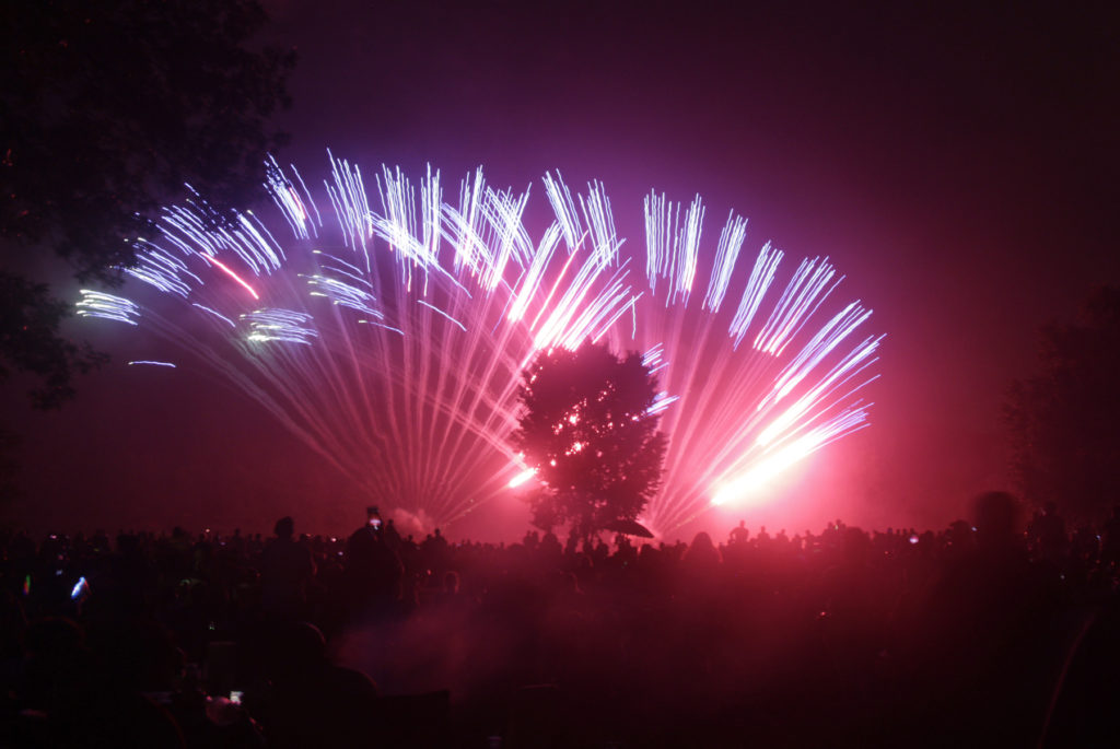 Pink and white fan-shaped fireworks go off, behind the silhouette of a tree