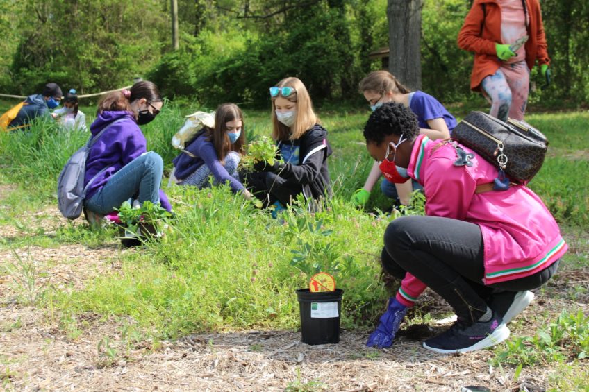 Volunteers Beautify Attick Park By Weeding, Planting Natives