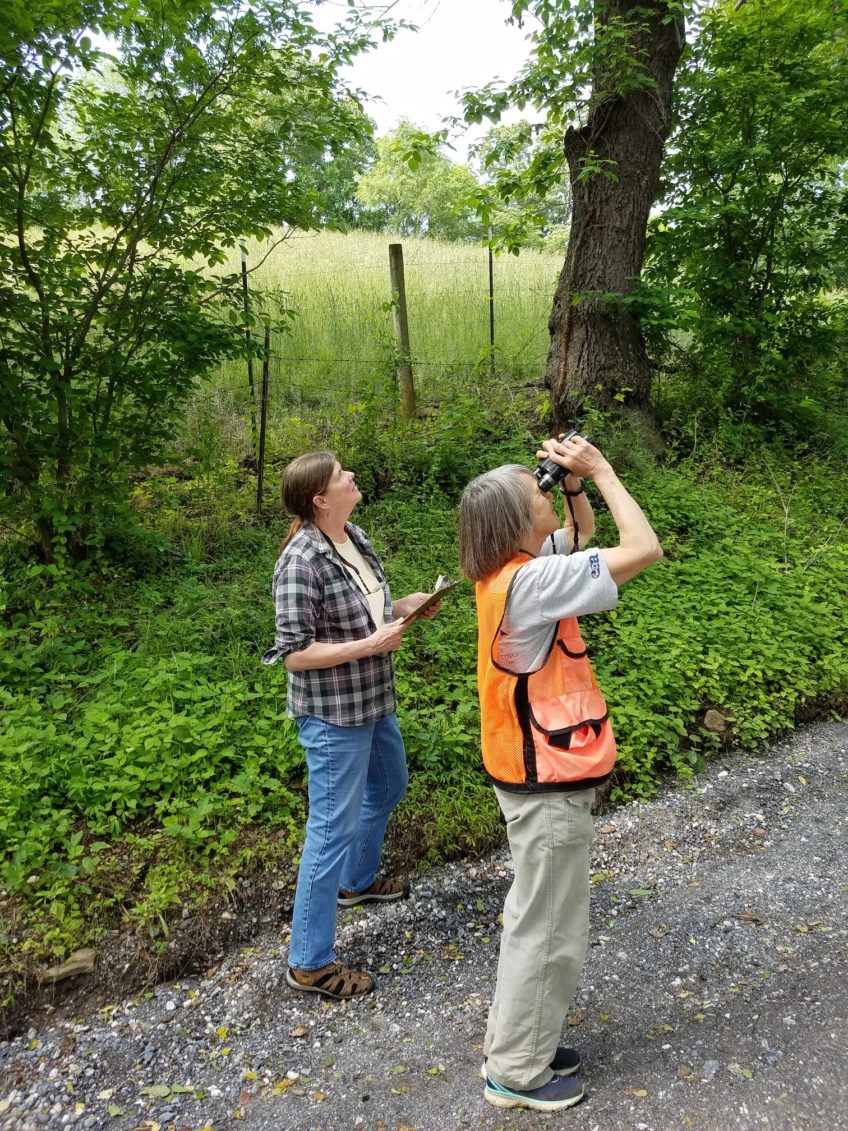 Local Birders Again Take Part In Continent-wide Bird Survey