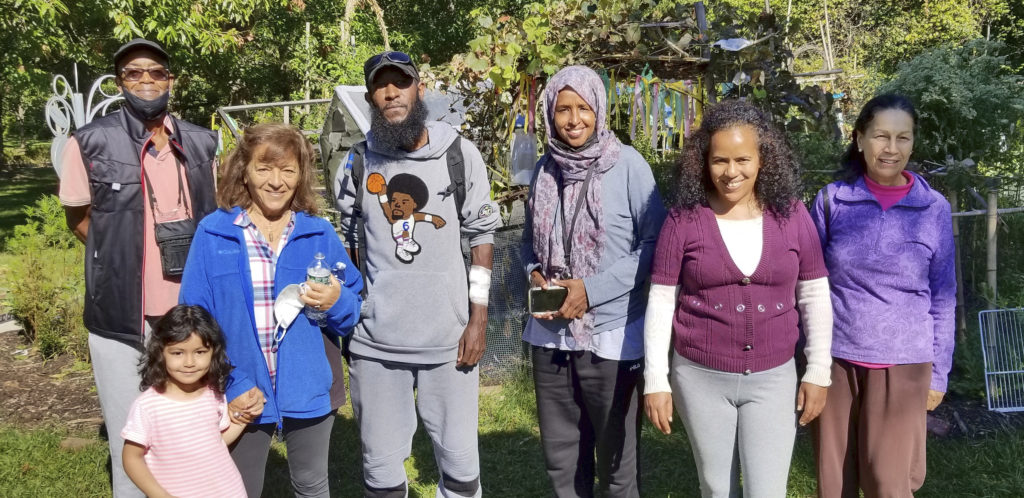 3 sisters garden