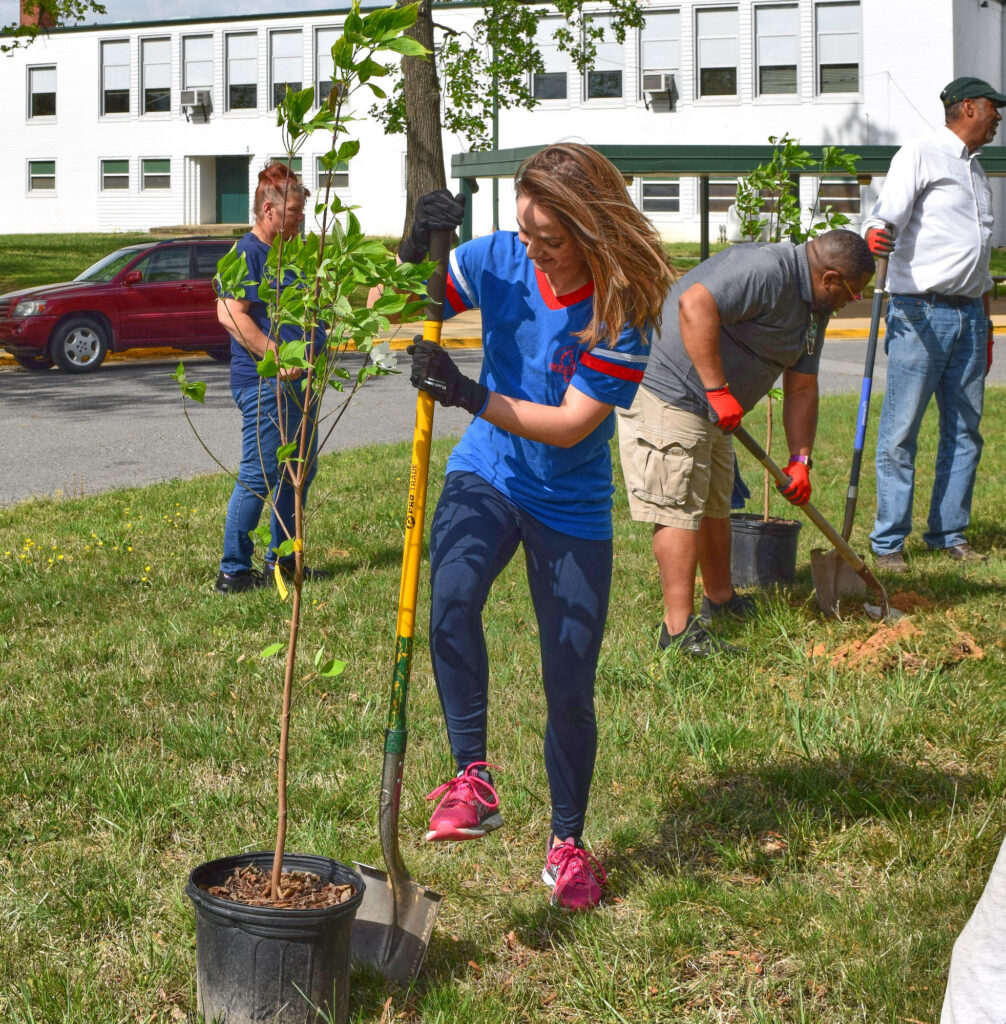 Dara Kennedy teacher plants tree