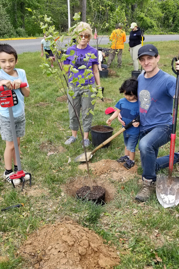 Family of tree platers