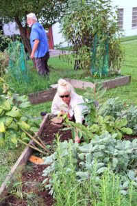 Cahalan in Three Sisters Garden