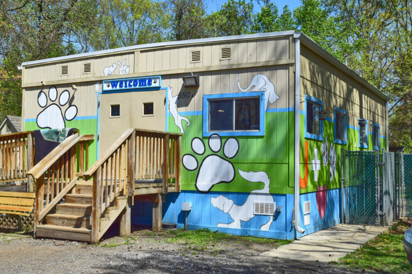 Inside Greenbelt’s Animal Shelter: Unique for a City, a Labor of Love
