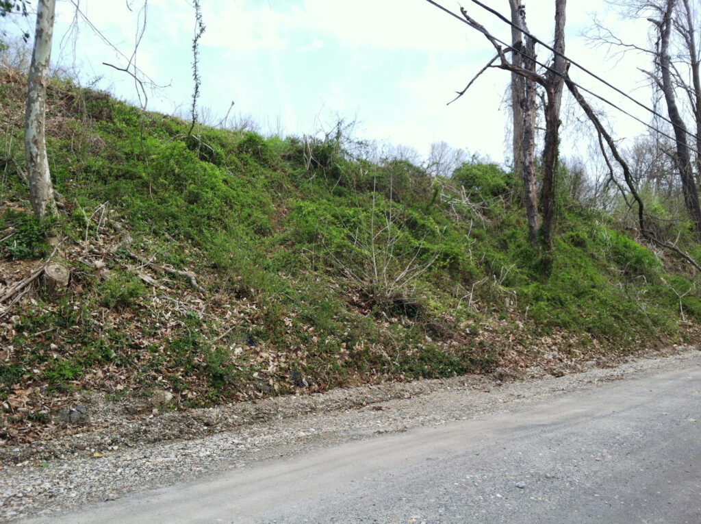 Ridge Road today