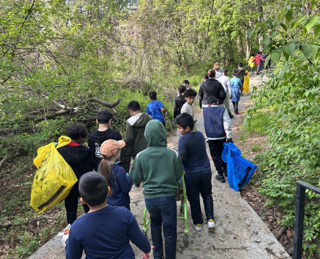 Springhill Lake creek cleanup