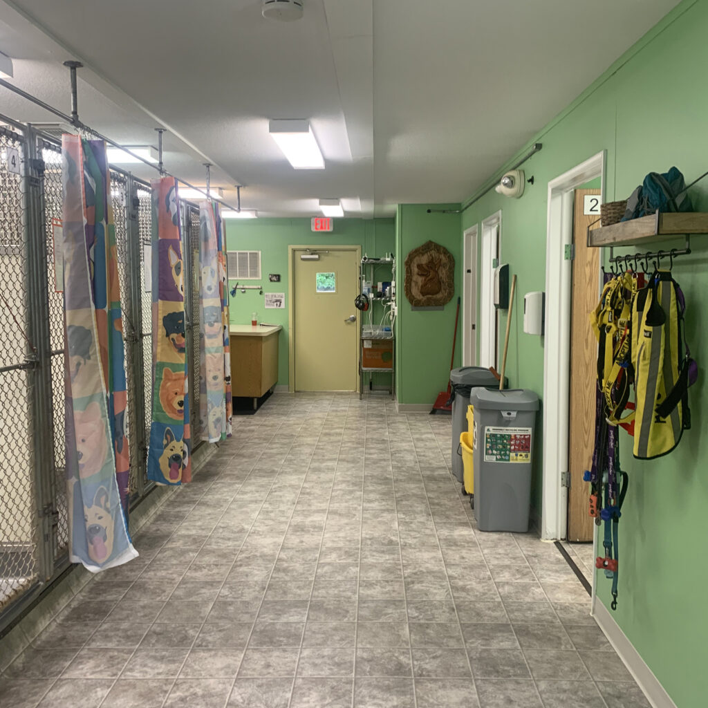 A hallway with green walls and swirly brown floors. Hanging on the wall at right is a rack of colorful dog leashes.