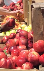 Nectarines