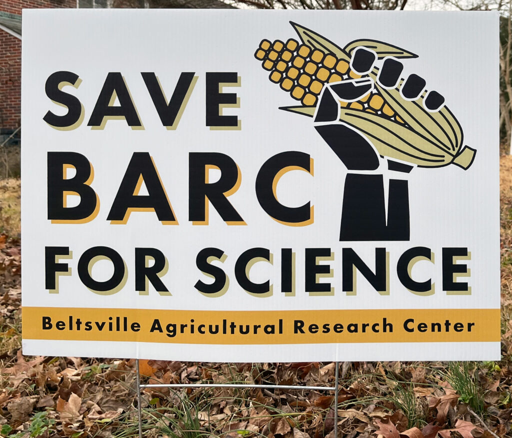 A yard sign with large all-caps black text reading "SAVE BARC FOR SCIENCE." Next to the words, a cartoon black hand and wrist, upraised, with an ear of corn in its fist. At the bottom of the sign, a yellow banner with the words "Beltsville Agricultural Research Center" in small black text.