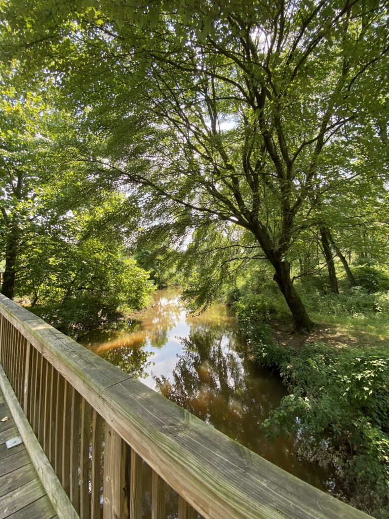 Indian Creek
