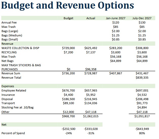 Budget and revenue options table